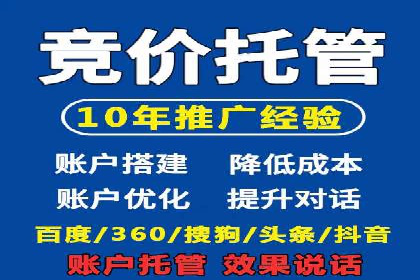 金融行业SEM服务的创新应用与效果